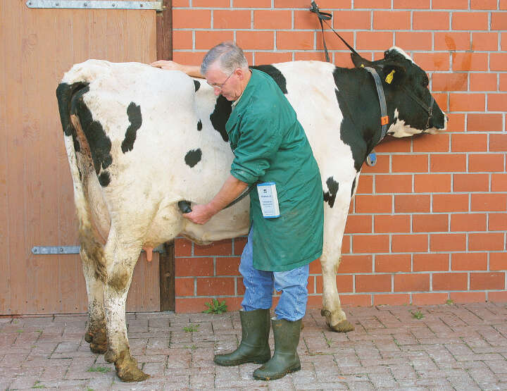 Rheintechnik Trächtigkeitsdiagnosegerät für Kühe